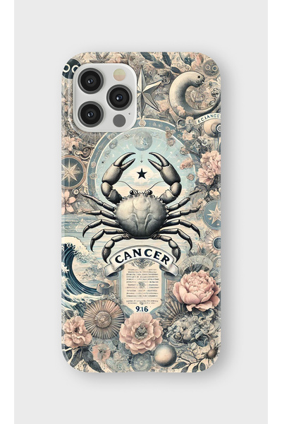 lelia حافظة هاتف شفافة مطبوعة متوافقة مع هاتف iPhone 12 Pro Max |   مجموعة: ز...