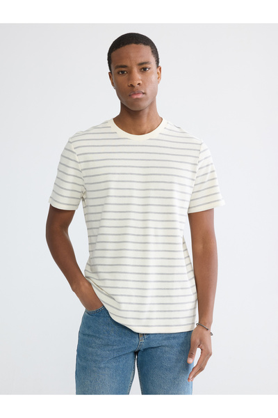 LC Waikiki Standard Fit Crew Neck Striped Men's T-Shirt