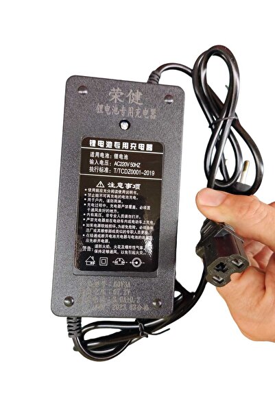 Federal Fast Charger for Electric Scooter with Li-ion Battery 60v 67.2V Power 3A