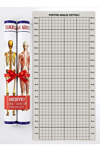 AND Postür Analiz Cetveli Tablosu - VİNİL BASKI - ÇITALI (İskelet & Kas Siste...