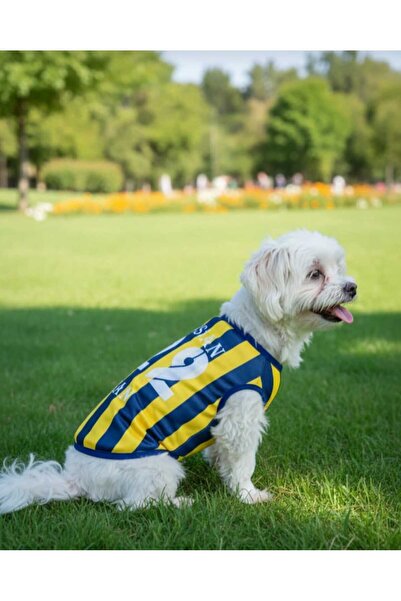 PuluPulu isim ve numara yazılabilen kedi ve köpek forması kedi ve köpek kıyaf...