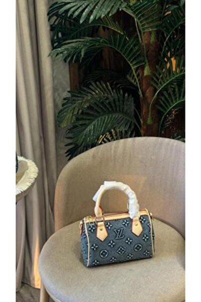 Louis Vuitton Speedy Bag