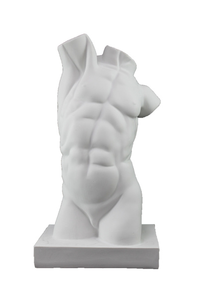 Sunseaart HYK319 - BÜYÜK ERKEK TORS