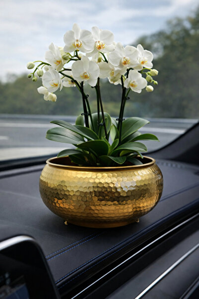 Acarya Design Gold Dekoratif Metal Dövmeli Kase Ayaklı – Salon & Orta Sehpa Ş...