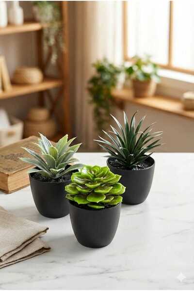 h homerest 3 Adet Yapay Sukulent ve Bitki Seti, Modern Ev Ofis Dekorasyonu İç...