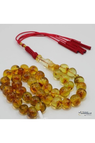 Generic Colombian amber insect rosary