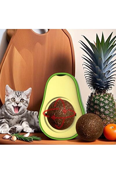 OEM Interactive cat ball, catnip ball, cat toy, avocado design, rotating ball.