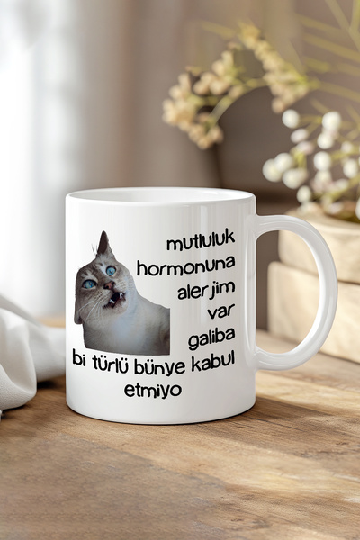 giftkonsept The Body Does Not Accept It Printed Funny Gift Mug