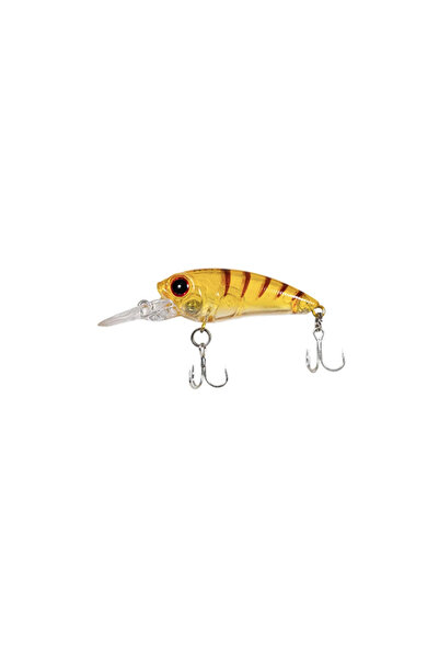 Isora Ryuji Zıpır Teke Honey Shrimp 5.5cm 5gr
