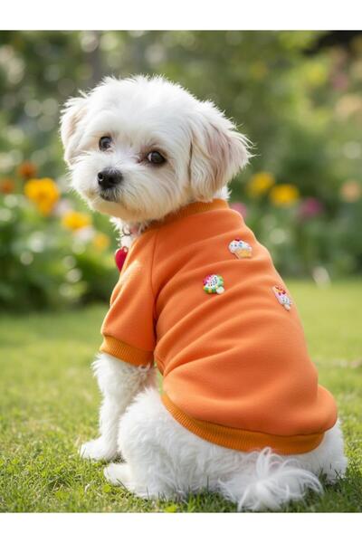 Kemique سويت شيرت من الصوف بطبعة الآيس كريم والكب كيك للكلاب