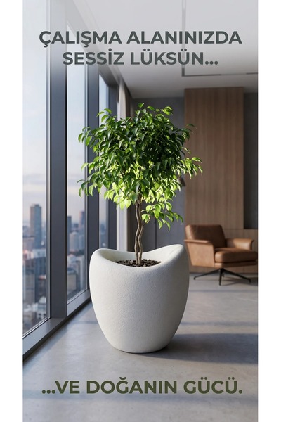 KastaSaksı 43x45 cm beton dokulu polyester Amorf kırık beyaz dekoratif saksı