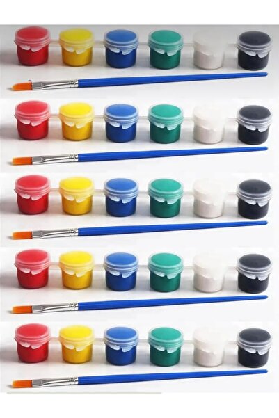 LİSYANTUS HOME Akrilik Boya (6Renk) Toplam 5 Fırça 5 Paket Boya Etkinlik Çocu...