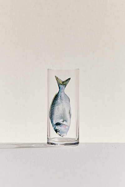 Paşabahçe Olta Rakı Bardağı No:4