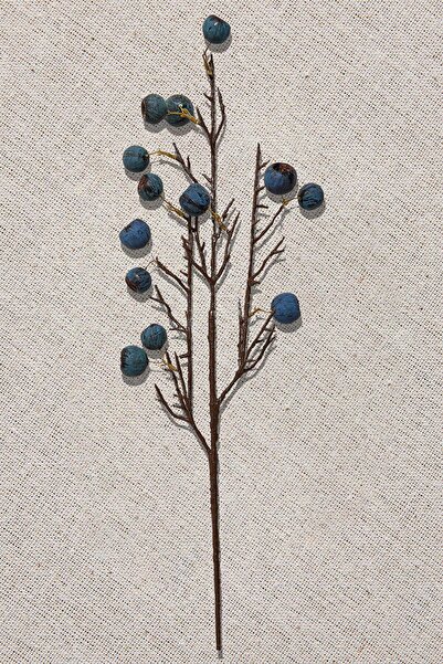 Paşabahçe Fruit 68 cm Mavi