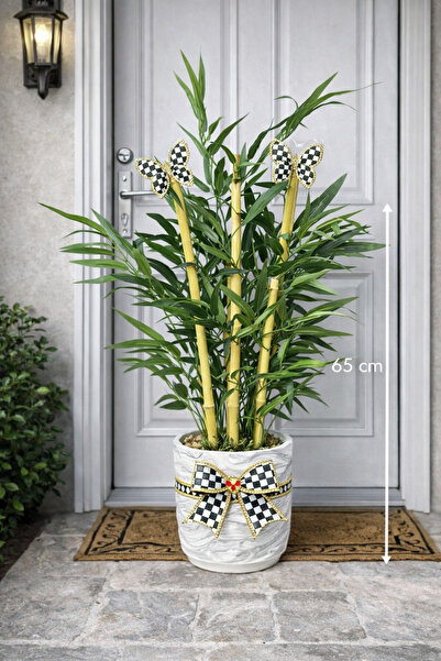 Marrone 65 Cm Bambu Ağacı Kurdele Ve Kelebekli Yapay Ağaç Dekor Ürünü