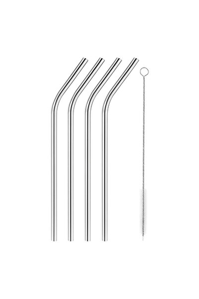 Poyrish Stainless Metal 4-Piece Straw Set