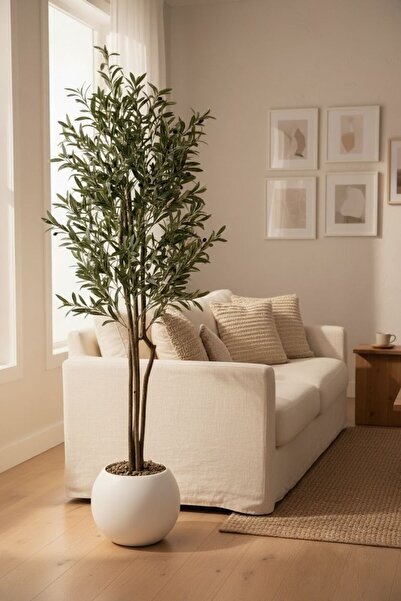 Casco An artificial olive tree, 180cm tall, in an elegant round pot.