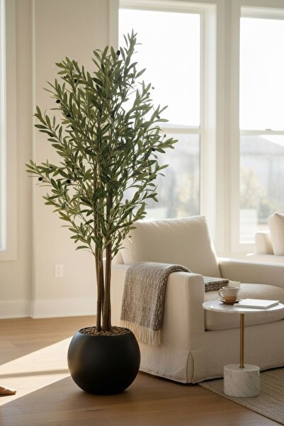 Casco An artificial olive tree, 150cm tall, in an elegant round pot.