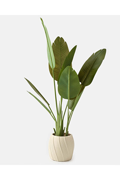 REDTAG أوراق موز اصطناعية في وعاء خزفي