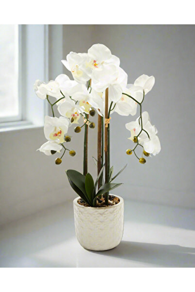 REDTAG White Artificial Orchid Flower In Ceramic Vase