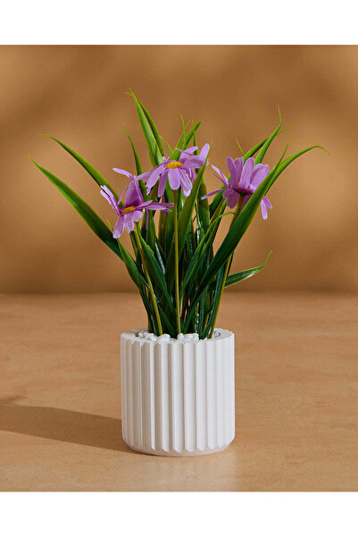 REDTAG زهرة أقحوان صناعية أرجوانية مع وعاء للزرع