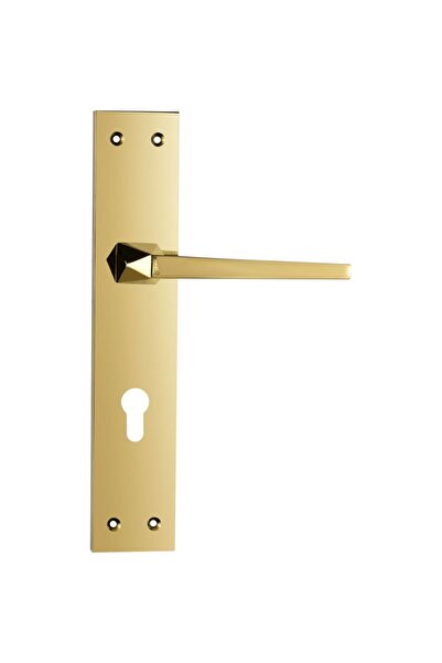 Milano Za Tubal Gold Plate Door Handle - Premium PVD Metal Hardware, Stylish ...