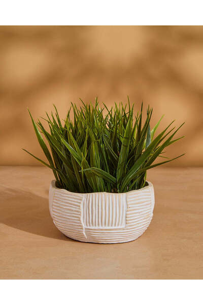 REDTAG Artificial Grass In Cement Pot