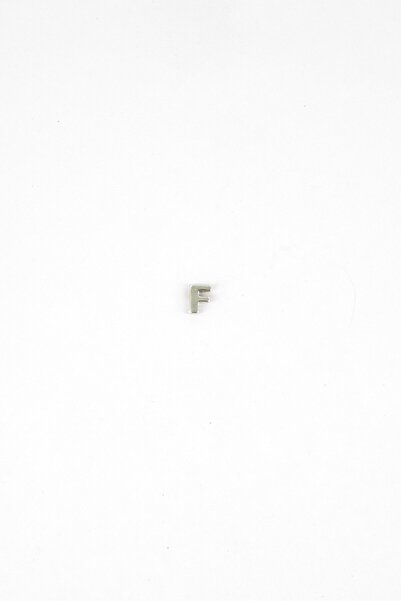 Alex and Ani Women Stainless Steel Initial F Charm, Silver