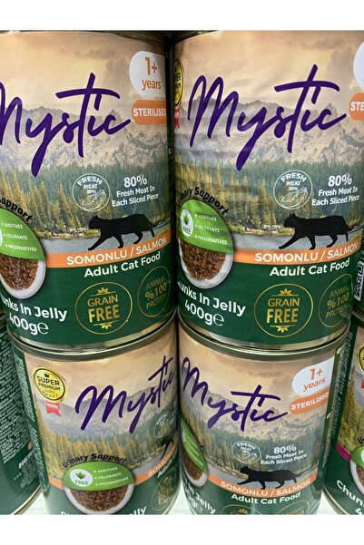 Mystic kedi konservesi somonlu