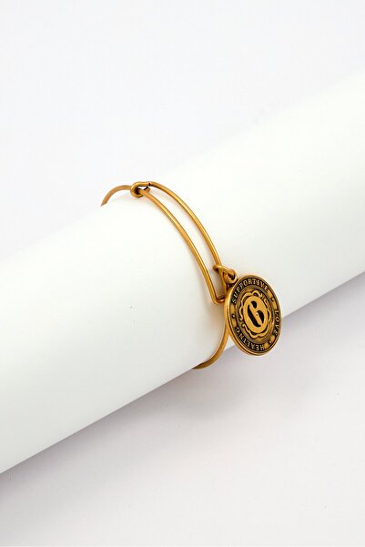 Alex and Ani سوار رافائيلين نسائي من الفولاذ المقاوم للصدأ، ذهبي