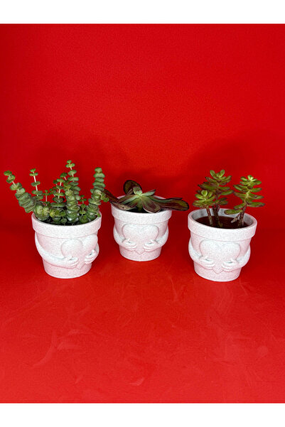 troyaart3d Kalpli Mermer Desenli Mini Saksılar (Tek adet fiyatı)