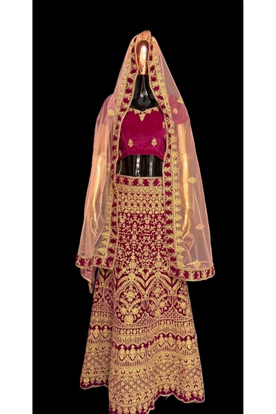 Aashiv's Collection Lehenga