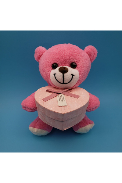 Skygo Boxed Pink Teddy Bear