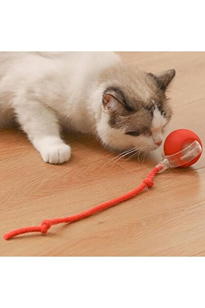 NO BRAND ANIMAL TOYS