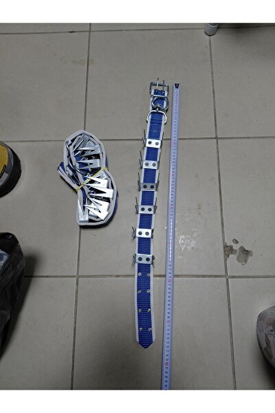 GNS طوق كلب كانجال