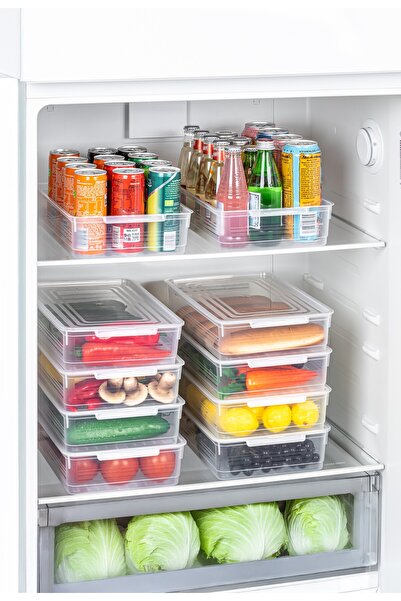 PraticBox 4'lü Set Kapaklı Derin Dondurucuya Uygun Saklama Kabı 3 Litre