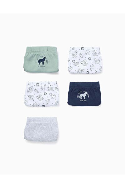 Ziddy Pack of 5 Briefs for Boys 'Wolves & Bears', Multicolour