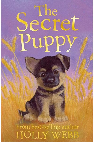 Little Tiger Press قصص حيوانات هولي ويب: الكلب الصغير السري