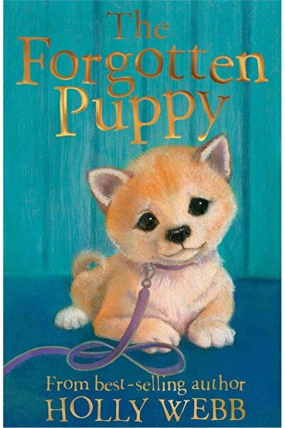 Little Tiger Press Holly Webb Animal Stories: The Forgotten Puppy