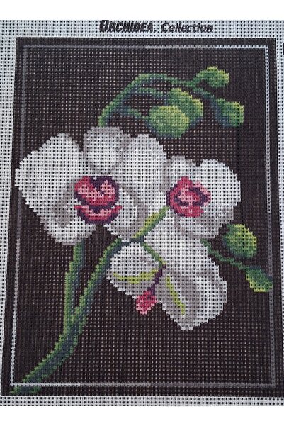 Orchidea Goblen Nakış Kiti
