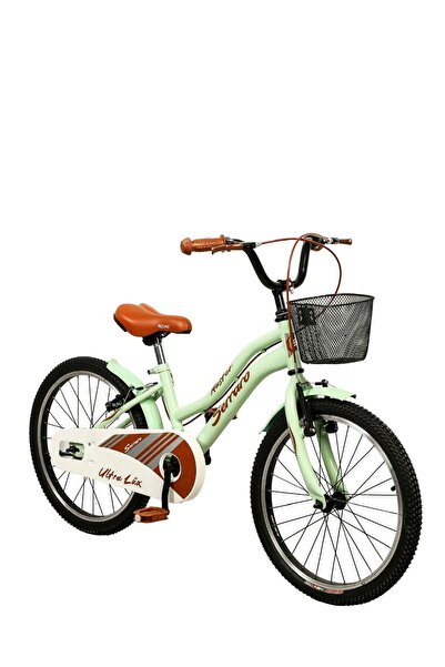 Serraro 20 Jant Çocuk Bisikleti yeşil Çelik Çamurluk Ve demir sepet