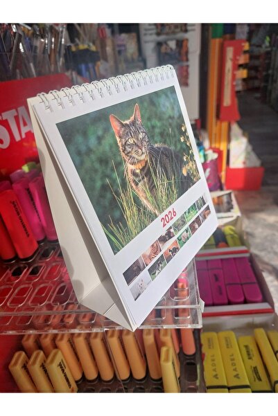 GENC DIJITAL BASKI Kare Masa Takvimi - Kediler