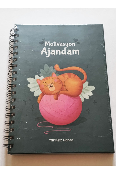 Modellino Agendă Motivational Ajandam Agendă fără dată Agendă eternă Copertă ...