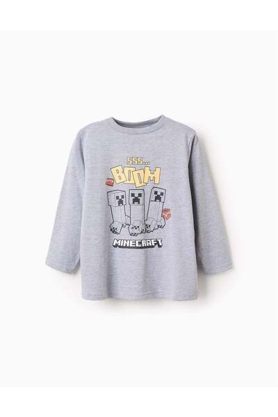 Ziddy Long Sleeve T-shirt for Boys 'Minecraft', Grey