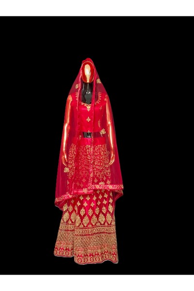 Aashiv's Collection Lehenga