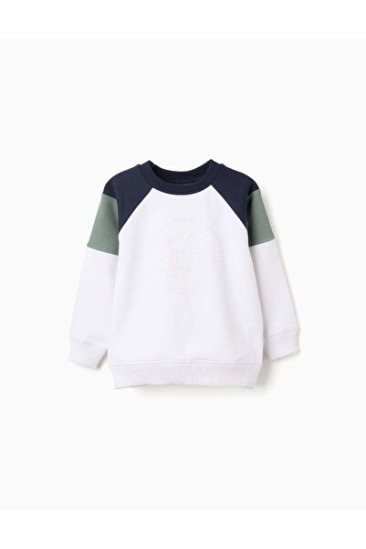 Ziddy Brushed sweatshirt with contrast sleeves for boys, multicolour