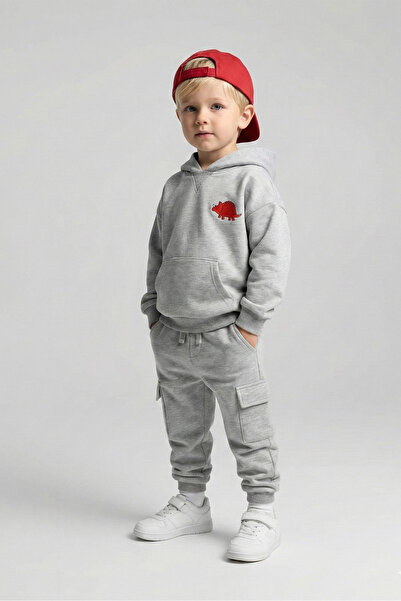 LUESS Erkek Çocuk Dinozor Baskılı Organik Pamuk Gri Alt Üst Takım