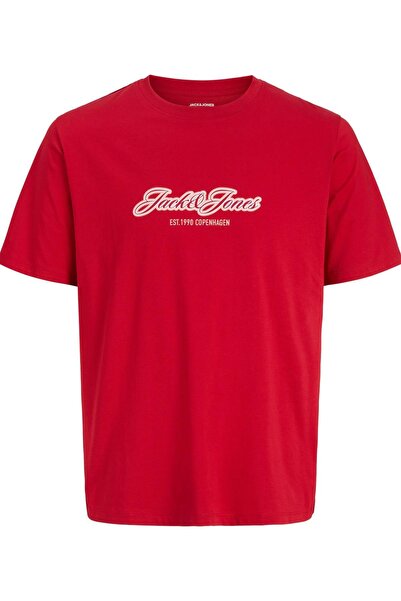 Jack & Jones Ανδρικό μπλουζάκι JORCATSKILLS BALLON TEE SS CN FST με σχέδιο μπ...