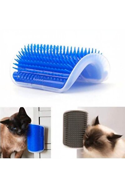 shop جهاز الحكة للقطط