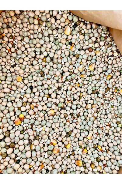 Tippler BEZELYELİ FULL KONDİSYON GÜVERCİN YEMİ